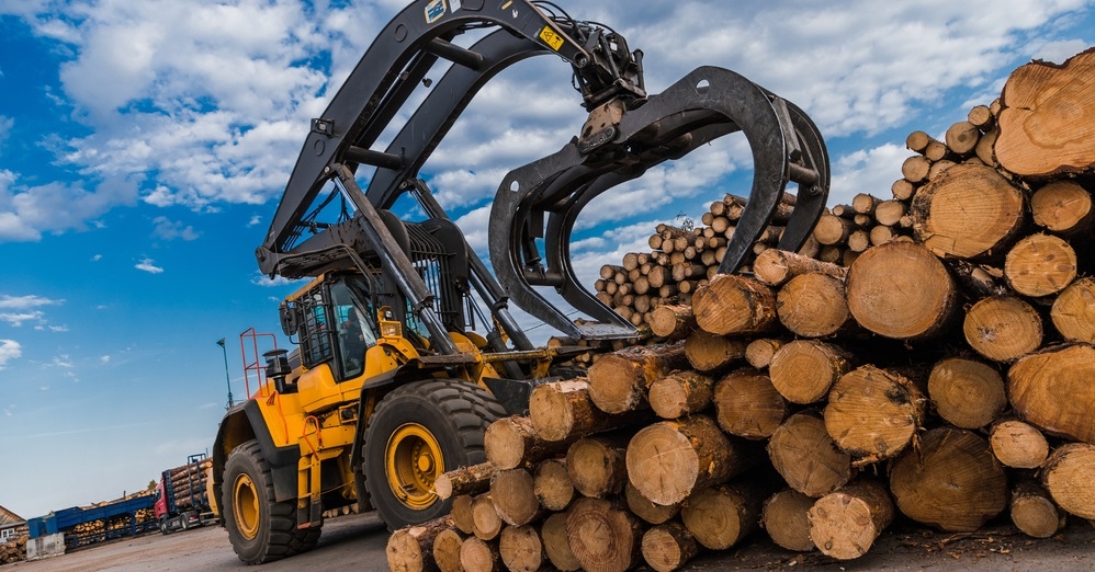 Russian timber industry is open for cooperation