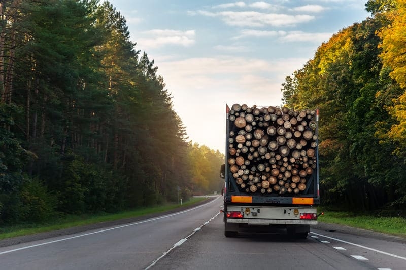 Транспорт для перевозки леса