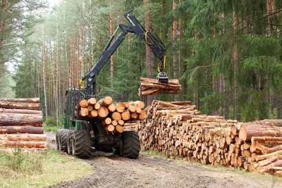 Техника для лесозаготовки